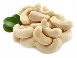 A High Quality Cashew Nuts Organic