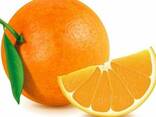 Апельсин навелина - фото 1
