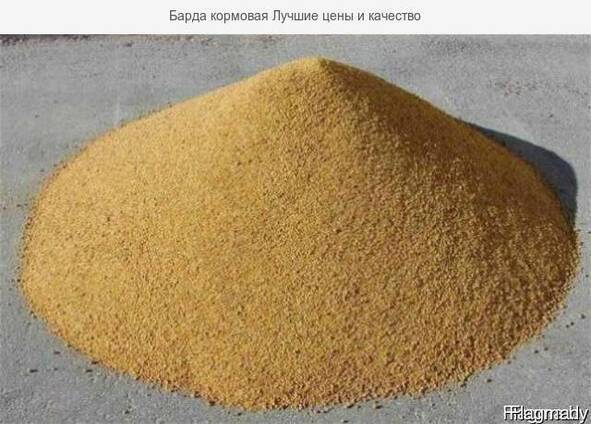 Барда Купить Пасито 1