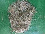 Eco-friendly horse bedding - photo 1