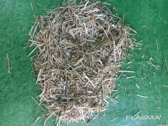 Eco-friendly horse bedding