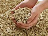 Enplus A1 wood pellets - photo 1