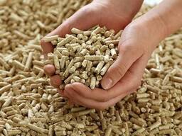 Enplus A1 wood pellets