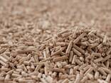 Enplus A1 wood pellets - photo 2