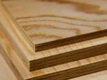 Фанера - photo 1