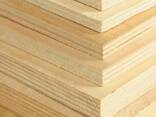 Фанера, Plywood birch - фото 1