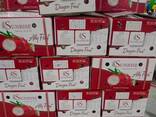 Fresh Dragon Fruit from Vietnam - фото 3