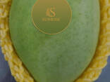 Fresh Mango from Vietnam - фото 1