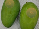 Fresh Mango from Vietnam - фото 3