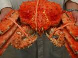 Frozen/Fresh Red King Crabs King Crab Legs, Soft Shell Whole Snow Crab for export - фото 1