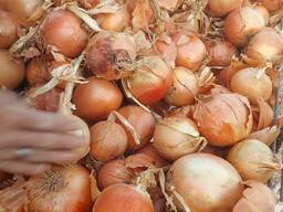 Лук Манас оригинал Лук Стардас оригинал