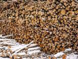 Firewood - photo 3