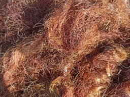 Лекарственные Травы и плоды