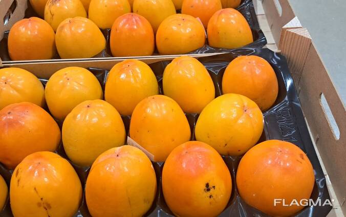 Pārdodam persikus tieši no uzticama Spānijas ražotāja