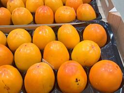 Pārdodam persikus tieši no uzticama Spānijas ražotāja