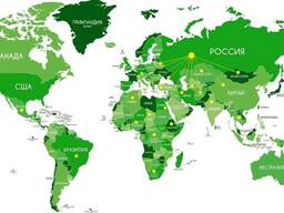 Ищем постоянные поставки большие объемы: подсолнечное масло пшеница зернобобовые культуры!