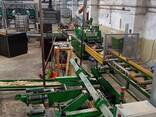 Продажа производственной линии Diametras 28 см - photo 1