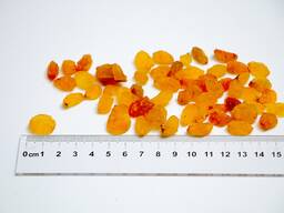 Raisins Golden Size 1