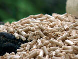 Sell pellets, pardod pellettes, продаем пеллетты премиум класса - фото 1