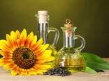 Sell unrefined sunflower oil FCA - фото 1