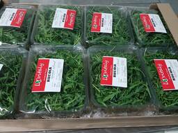 Свежая зелень