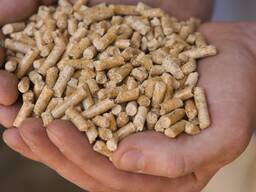 Топливные гранулы древесные / Fuel pellets wood