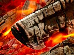 Pelnu lielapjoma Bambusa Bbq kokogļu piegādātāji Pārdod