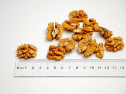WALNUT-LIGHT
