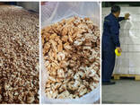 Walnut wholesale, from Kyrgyzstan / Грецкий орех ОПТ - фото 3