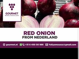 We sell red onions