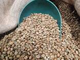 Green coffee, unroasted, assorted - фото 1