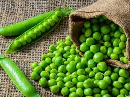 Zirņi/Горох/Peas